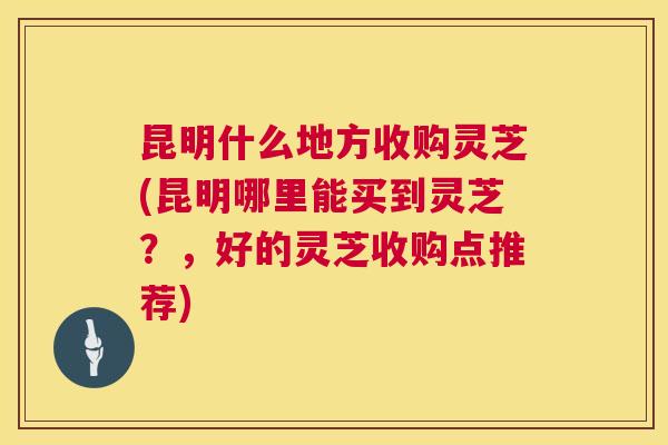 昆明什么地方收购灵芝(昆明哪里能买到灵芝?,好的灵芝收购点推荐) 昆明什么地方收购灵芝(昆明哪里能买到灵芝?,好的灵芝收购点推荐)