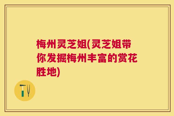 梅州灵芝姐(灵芝姐带你发掘梅州丰富的赏花胜地) 梅州灵芝姐(灵芝姐带你发掘梅州丰富的赏花胜地)