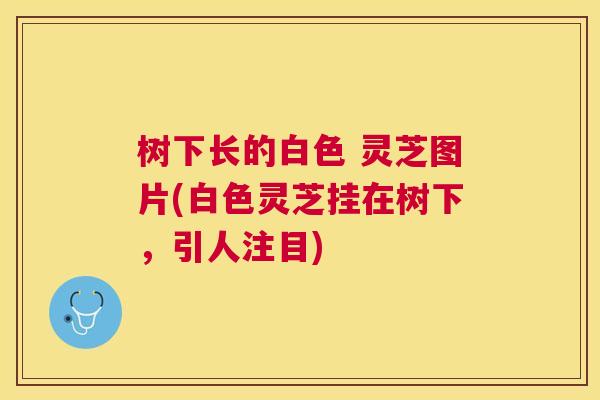 树下长的白色 灵芝图片(白色灵芝挂在树下,引人注目) 树下长的白色 灵芝图片(白色灵芝挂在树下,引人注目)