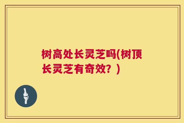 树高处长灵芝吗(树顶长灵芝有奇效？)