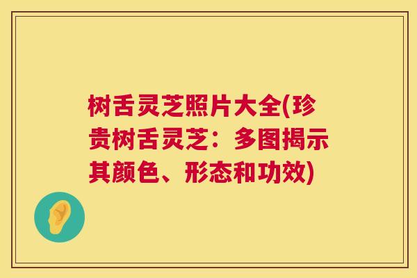 树舌灵芝照片大全(珍贵树舌灵芝:多图揭示其颜色、形态和功效) 树舌灵芝照片大全(珍贵树舌灵芝:多图揭示其颜色、形态和功效)
