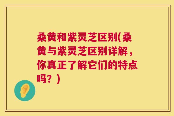 桑黄和紫灵芝区别(桑黄与紫灵芝区别详解，你真正了解它们的特点吗？)