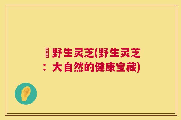 採野生灵芝(野生灵芝:大自然的健康宝藏) 採野生灵芝(野生灵芝:大自然的健康宝藏)