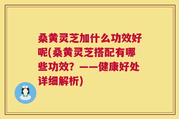 桑黄灵芝加什么功效好呢(桑黄灵芝搭配有哪些功效?——健康好处详细解析) 桑黄灵芝加什么功效好呢(桑黄灵芝搭配有哪些功效?——健康好处详细解析)