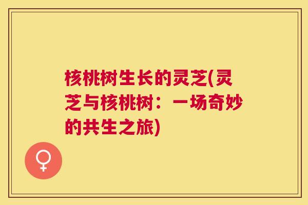 核桃树生长的灵芝(灵芝与核桃树:一场奇妙的共生之旅) 核桃树生长的灵芝(灵芝与核桃树:一场奇妙的共生之旅)