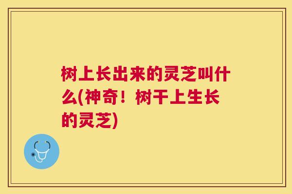树上长出来的灵芝叫什么(神奇!树干上生长的灵芝) 树上长出来的灵芝叫什么(神奇!树干上生长的灵芝)