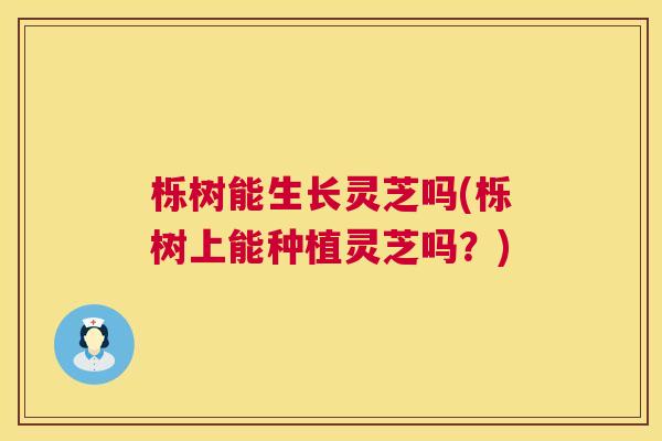 栎树能生长灵芝吗(栎树上能种植灵芝吗?) 栎树能生长灵芝吗(栎树上能种植灵芝吗?)