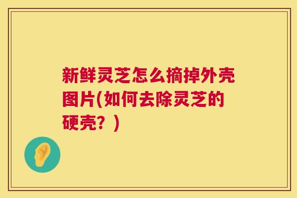 新鲜灵芝怎么摘掉外壳图片(如何去除灵芝的硬壳?) 新鲜灵芝怎么摘掉外壳图片(如何去除灵芝的硬壳?)