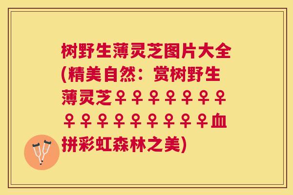 树野生薄灵芝图片大全(精美自然:赏树野生薄灵芝♀♀♀♀♀♀♀♀♀♀♀♀♀♀♀♀拼彩虹森林之美) 树野生薄灵芝图片大全(精美自然:赏树野生薄灵芝♀♀♀♀♀♀♀♀♀♀♀♀♀♀♀♀拼彩虹森林之美)