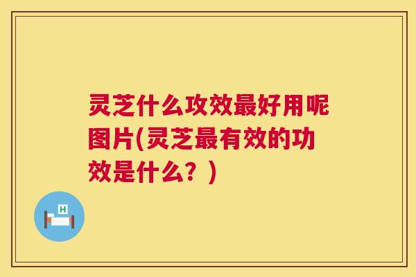 灵芝什么攻效好用呢图片(灵芝有效的功效是什么?) 灵芝什么攻效好用呢图片(灵芝有效的功效是什么?)