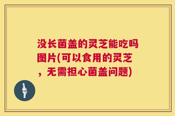 没长菌盖的灵芝能吃吗图片(可以食用的灵芝，无需担心菌盖问题)