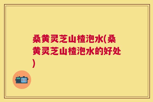 桑黄灵芝山楂泡水(桑黄灵芝山楂泡水的好处) 桑黄灵芝山楂泡水(桑黄灵芝山楂泡水的好处)