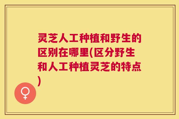 灵芝人工种植和野生的区别在哪里(区分野生和人工种植灵芝的特点) 灵芝人工种植和野生的区别在哪里(区分野生和人工种植灵芝的特点)