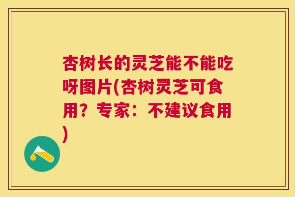 杏树长的灵芝能不能吃呀图片(杏树灵芝可食用？专家：不建议食用)