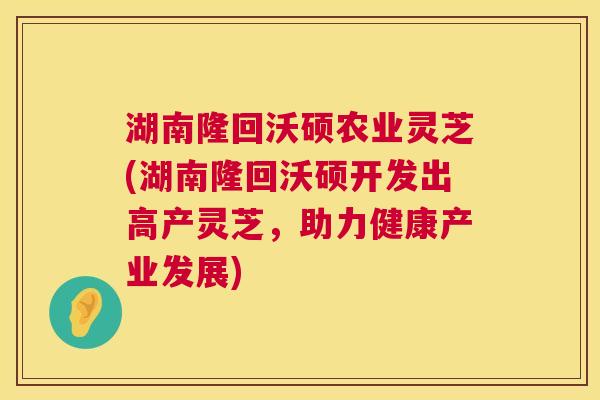 湖南隆回沃硕农业灵芝(湖南隆回沃硕开发出高产灵芝,助力健康产业发展) 湖南隆回沃硕农业灵芝(湖南隆回沃硕开发出高产灵芝,助力健康产业发展)