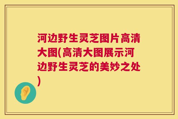 河边野生灵芝图片高清大图(高清大图展示河边野生灵芝的美妙之处) 河边野生灵芝图片高清大图(高清大图展示河边野生灵芝的美妙之处)