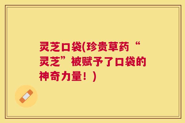 灵芝口袋(珍贵草药“灵芝”被赋予了口袋的神奇力量!) 灵芝口袋(珍贵草药“灵芝”被赋予了口袋的神奇力量!)