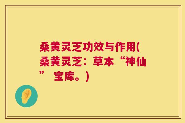 桑黄灵芝功效与作用(桑黄灵芝:草本“神仙” 宝库。) 桑黄灵芝功效与作用(桑黄灵芝:草本“神仙” 宝库。)