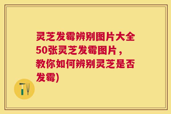 灵芝发霉辨别图片大全50张灵芝发霉图片,教你如何辨别灵芝是否发霉) 灵芝发霉辨别图片大全50张灵芝发霉图片,教你如何辨别灵芝是否发霉)