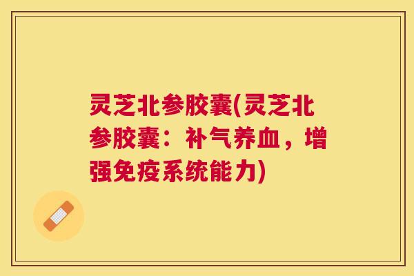 灵芝北参胶囊(灵芝北参胶囊:,增强免疫系统能力) 灵芝北参胶囊(灵芝北参胶囊:,增强免疫系统能力)