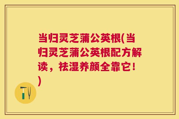 当归灵芝蒲公英根(当归灵芝蒲公英根配方解读,祛湿养颜全靠它!) 当归灵芝蒲公英根(当归灵芝蒲公英根配方解读,祛湿养颜全靠它!)
