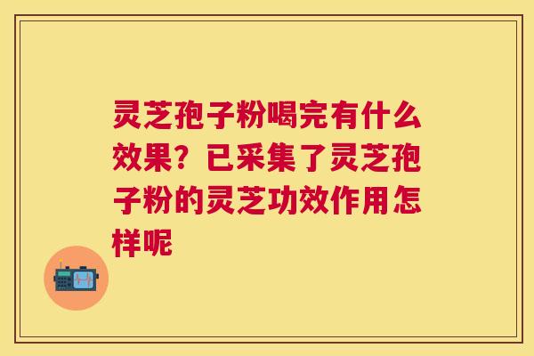 灵芝孢子粉喝完有什么效果?已采集了灵芝孢子粉的灵芝功效作用怎样呢 灵芝孢子粉喝完有什么效果?已采集了灵芝孢子粉的灵芝功效作用怎样呢