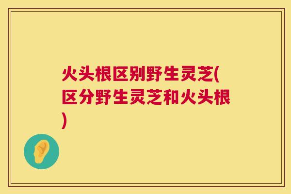 火头根区别野生灵芝(区分野生灵芝和火头根) 火头根区别野生灵芝(区分野生灵芝和火头根)