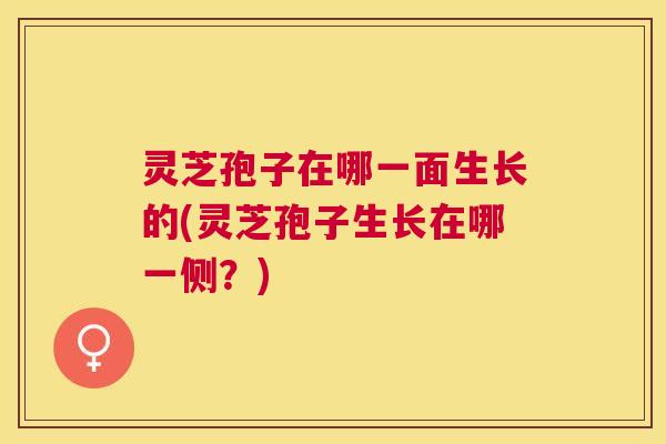灵芝孢子在哪一面生长的(灵芝孢子生长在哪一侧?) 灵芝孢子在哪一面生长的(灵芝孢子生长在哪一侧?)