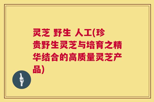 灵芝 野生 人工(珍贵野生灵芝与培育之精华结合的高质量灵芝产品) 灵芝 野生 人工(珍贵野生灵芝与培育之精华结合的高质量灵芝产品)
