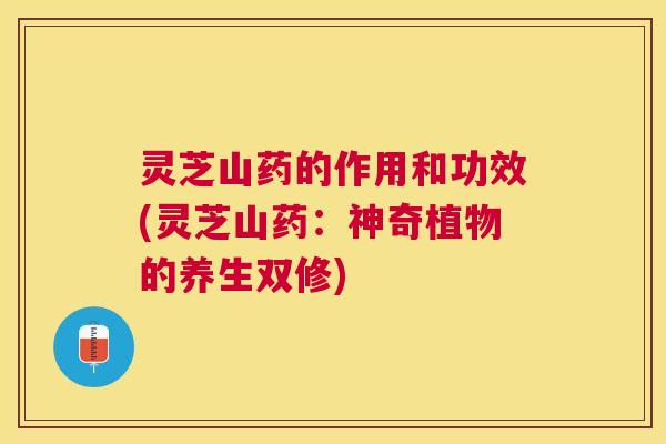 灵芝山药的作用和功效(灵芝山药:神奇植物的养生双修) 灵芝山药的作用和功效(灵芝山药:神奇植物的养生双修)