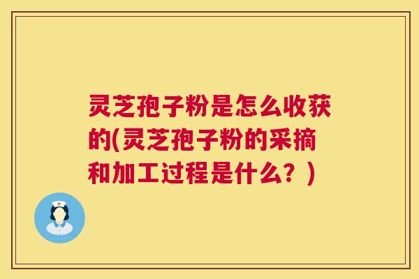 灵芝孢子粉是怎么收获的(灵芝孢子粉的采摘和加工过程是什么？)