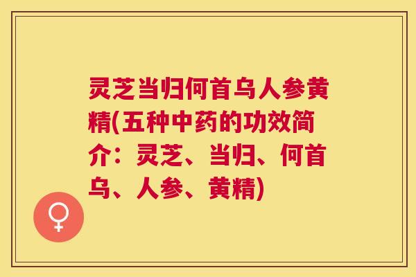 灵芝当归何首乌人参黄精(五种的功效简介:灵芝、当归、何首乌、人参、黄精) 灵芝当归何首乌人参黄精(五种的功效简介:灵芝、当归、何首乌、人参、黄精)