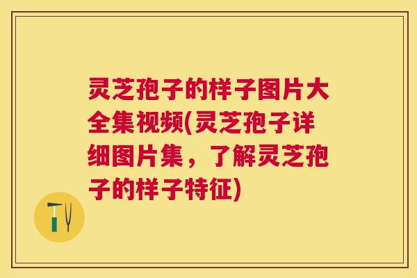 灵芝孢子的样子图片大全集视频(灵芝孢子详细图片集,了解灵芝孢子的样子特征) 灵芝孢子的样子图片大全集视频(灵芝孢子详细图片集,了解灵芝孢子的样子特征)