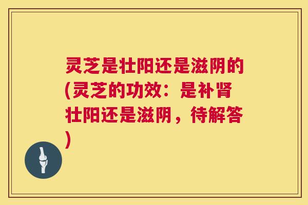 灵芝是壮阳还是滋阴的(灵芝的功效:是补壮阳还是滋阴,待解答) 灵芝是壮阳还是滋阴的(灵芝的功效:是补壮阳还是滋阴,待解答)