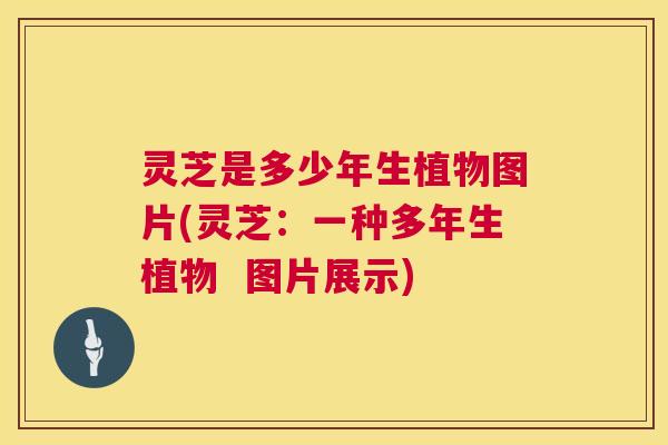 灵芝是多少年生植物图片(灵芝:一种多年生植物 图片展示) 灵芝是多少年生植物图片(灵芝:一种多年生植物 图片展示)