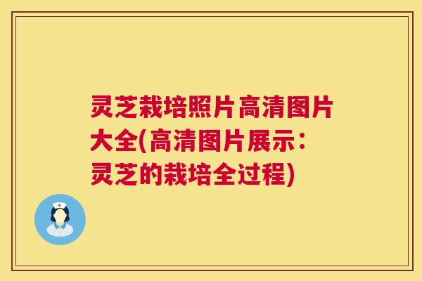 灵芝栽培照片高清图片大全(高清图片展示:灵芝的栽培全过程) 灵芝栽培照片高清图片大全(高清图片展示:灵芝的栽培全过程)