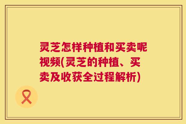 灵芝怎样种植和买卖呢视频(灵芝的种植、买卖及收获全过程解析) 灵芝怎样种植和买卖呢视频(灵芝的种植、买卖及收获全过程解析)
