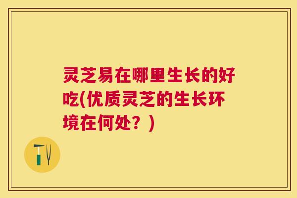 灵芝易在哪里生长的好吃(优质灵芝的生长环境在何处?) 灵芝易在哪里生长的好吃(优质灵芝的生长环境在何处?)