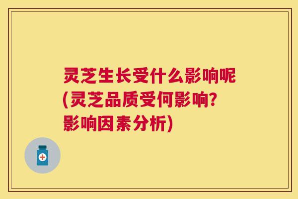 灵芝生长受什么影响呢(灵芝品质受何影响?影响因素分析) 灵芝生长受什么影响呢(灵芝品质受何影响?影响因素分析)