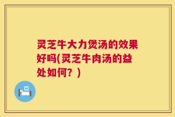 灵芝牛大力煲汤的效果好吗(灵芝牛肉汤的益处如何?) 灵芝牛大力煲汤的效果好吗(灵芝牛肉汤的益处如何?)