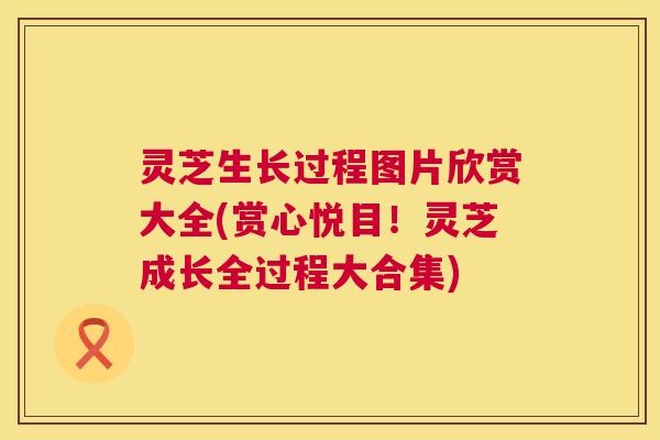 灵芝生长过程图片欣赏大全(赏心悦目!灵芝成长全过程大合集) 灵芝生长过程图片欣赏大全(赏心悦目!灵芝成长全过程大合集)
