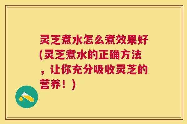 灵芝煮水怎么煮效果好(灵芝煮水的正确方法,让你充分吸收灵芝的营养!) 灵芝煮水怎么煮效果好(灵芝煮水的正确方法,让你充分吸收灵芝的营养!)
