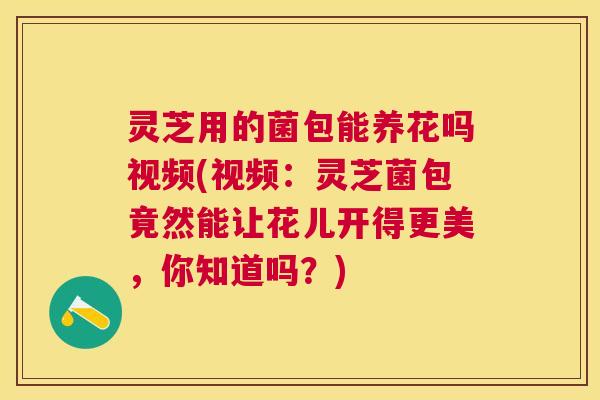 灵芝用的菌包能养花吗视频(视频:灵芝菌包竟然能让花儿开得更美,你知道吗?) 灵芝用的菌包能养花吗视频(视频:灵芝菌包竟然能让花儿开得更美,你知道吗?)