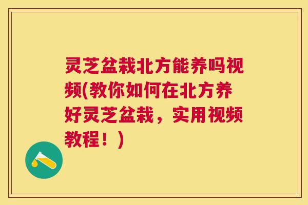 灵芝盆栽北方能养吗视频(教你如何在北方养好灵芝盆栽,实用视频教程!) 灵芝盆栽北方能养吗视频(教你如何在北方养好灵芝盆栽,实用视频教程!)