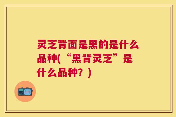 灵芝背面是黑的是什么品种(“黑背灵芝”是什么品种?) 灵芝背面是黑的是什么品种(“黑背灵芝”是什么品种?)