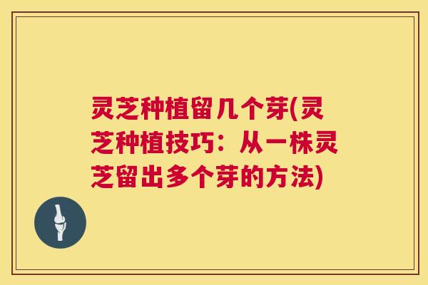 灵芝种植留几个芽(灵芝种植技巧:从一株灵芝留出多个芽的方法) 灵芝种植留几个芽(灵芝种植技巧:从一株灵芝留出多个芽的方法)
