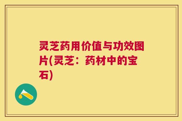 灵芝药用价值与功效图片(灵芝:药材中的宝石) 灵芝药用价值与功效图片(灵芝:药材中的宝石)