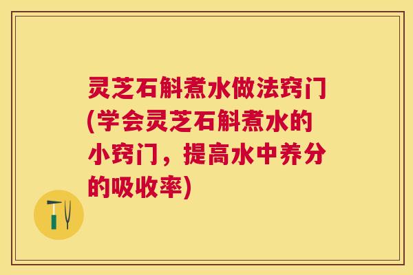 灵芝石斛煮水做法窍门(学会灵芝石斛煮水的小窍门,提高水中养分的吸收率) 灵芝石斛煮水做法窍门(学会灵芝石斛煮水的小窍门,提高水中养分的吸收率)