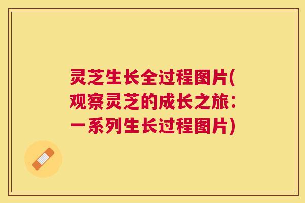 灵芝生长全过程图片(观察灵芝的成长之旅:一系列生长过程图片) 灵芝生长全过程图片(观察灵芝的成长之旅:一系列生长过程图片)