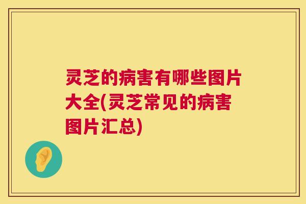 灵芝的害有哪些图片大全(灵芝常见的害图片汇总) 灵芝的害有哪些图片大全(灵芝常见的害图片汇总)